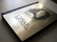 10x14 شخصی طلایی فلزی جلد عکس کتاب آلبوم برای خانواده / کسب و کار